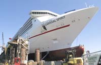 carnival-Spirit_7868