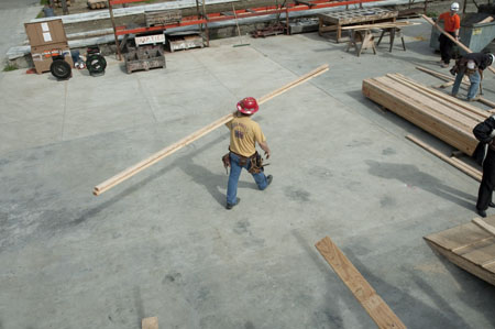 CarpenterAprentice--7702