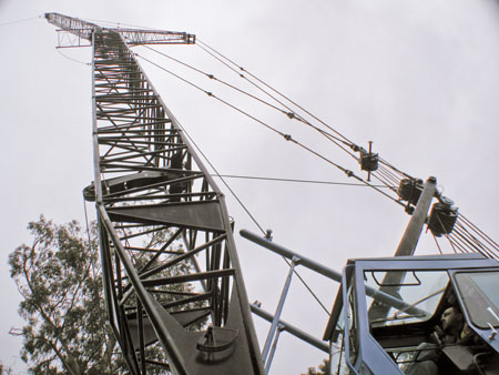 CharlesPettigru----7837